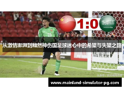 从激情澎湃到黯然神伤国足球迷心中的希望与失望之路 从激情澎湃到黯然神伤国足球迷心中的希望与失望之路