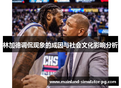 林加德调侃现象的成因与社会文化影响分析