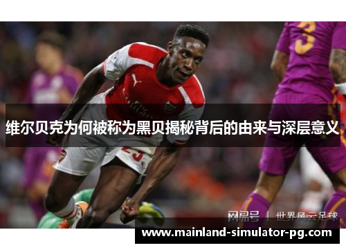 维尔贝克为何被称为黑贝揭秘背后的由来与深层意义 维尔贝克为何被称为黑贝揭秘背后的由来与深层意义