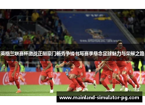 英格兰联赛杯激战正酣豪门新秀争锋书写赛季悬念足球魅力与荣耀之路